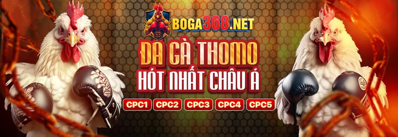 Đá Gà Trực Tuyến Ricwin Chính Thức 2026