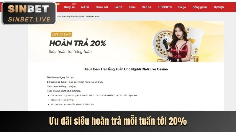 Tính năng bảo mật Ricwin